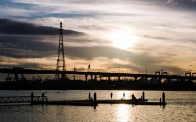 Why a Registered Agent Is Mandatory for Setting Up a Company in BVI